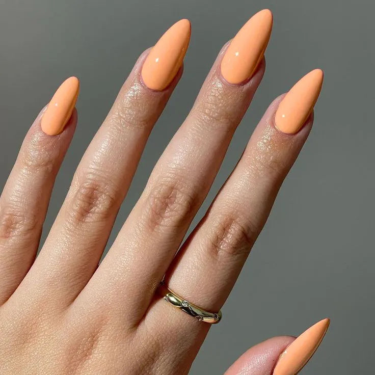 #couleur_honey apricot